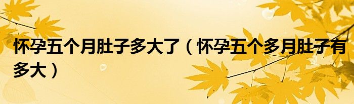 懷孕五個(gè)月肚子多大了（懷孕五個(gè)多月肚子有多大）