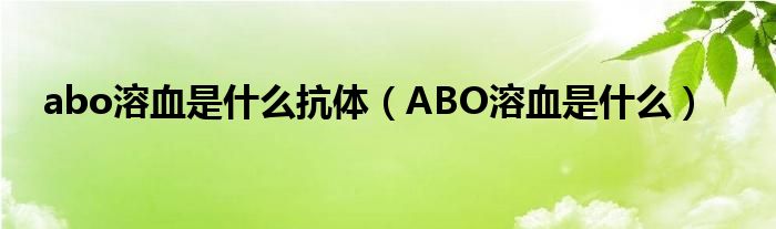 abo溶血是什么抗體（ABO溶血是什么）