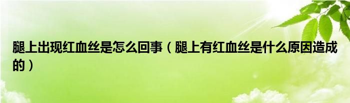 腿上出現(xiàn)紅血絲是怎么回事（腿上有紅血絲是什么原因造成的）