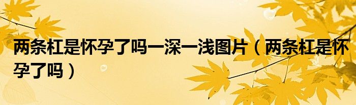 兩條杠是懷孕了嗎一深一淺圖片（兩條杠是懷孕了嗎）