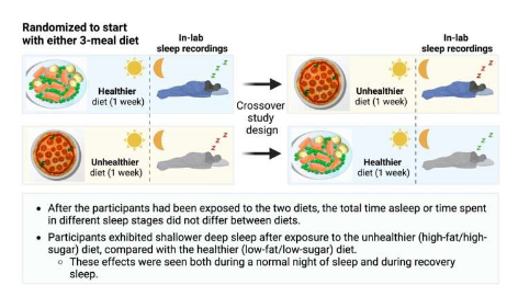 研究發(fā)現(xiàn)垃圾食品可能會(huì)影響我們的深度睡眠