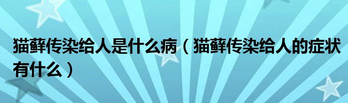 貓?zhí)\傳染給人是什么?。ㄘ?zhí)\傳染給人的癥狀有什么）