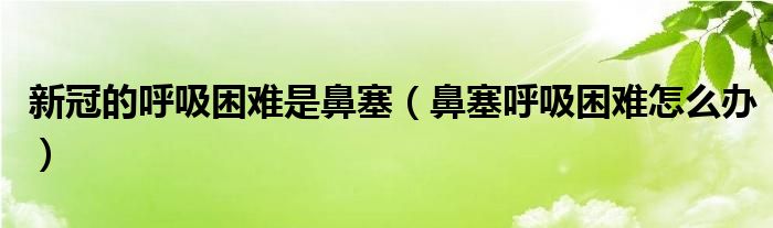 新冠的呼吸困難是鼻塞（鼻塞呼吸困難怎么辦）