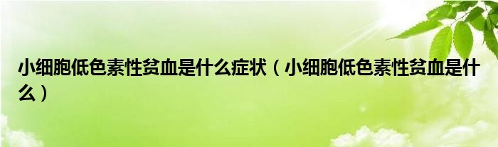 小細(xì)胞低色素性貧血是什么癥狀（小細(xì)胞低色素性貧血是什么）