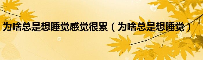 為啥總是想睡覺感覺很累（為啥總是想睡覺）