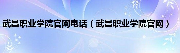 武昌職業(yè)學院官網(wǎng)電話（武昌職業(yè)學院官網(wǎng)）