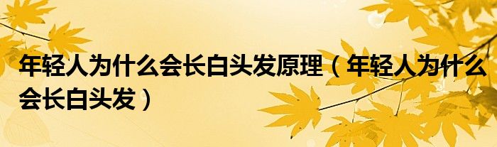 年輕人為什么會(huì)長(zhǎng)白頭發(fā)原理（年輕人為什么會(huì)長(zhǎng)白頭發(fā)）