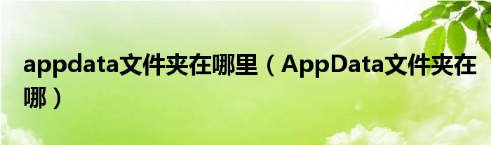 appdata文件夾在哪里（AppData文件夾在哪）