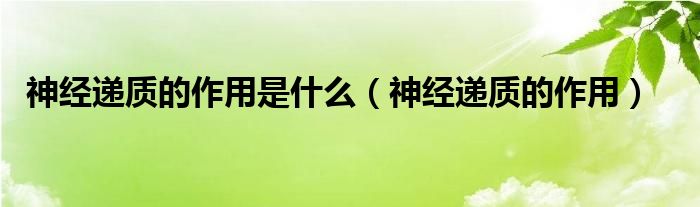 神經(jīng)遞質(zhì)的作用是什么（神經(jīng)遞質(zhì)的作用）