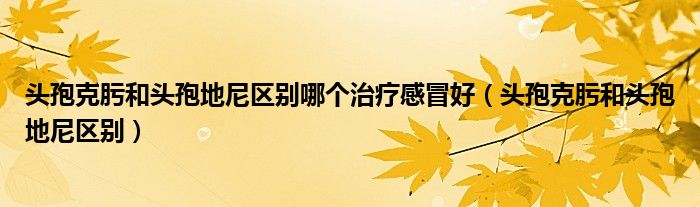 頭孢克肟和頭孢地尼區(qū)別哪個(gè)治療感冒好（頭孢克肟和頭孢地尼區(qū)別）