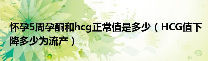 懷孕5周孕酮和hcg正常值是多少（HCG值下降多少為流產(chǎn)）