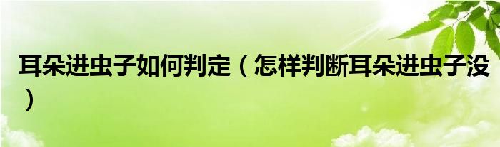 耳朵進蟲子如何判定（怎樣判斷耳朵進蟲子沒）