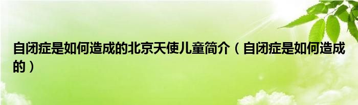 自閉癥是如何造成的北京天使兒童簡(jiǎn)介（自閉癥是如何造成的）