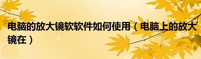 電腦的放大鏡軟軟件如何使用（電腦上的放大鏡在）