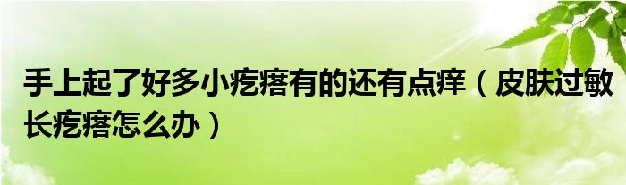 手上起了好多小疙瘩有的還有點(diǎn)癢（皮膚過(guò)敏長(zhǎng)疙瘩怎么辦）