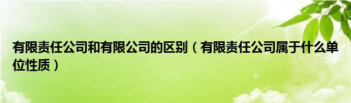 有限責(zé)任公司和有限公司的區(qū)別（有限責(zé)任公司屬于什么單位性質(zhì)）