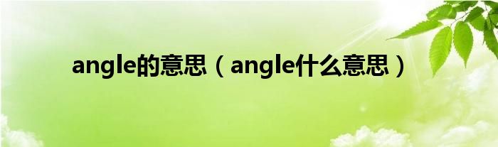 angle的意思（angle什么意思）