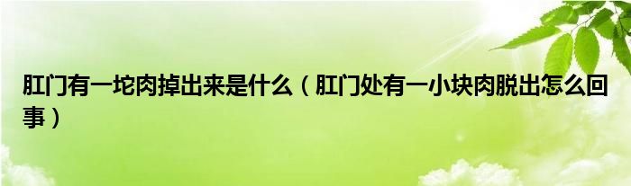 肛門有一坨肉掉出來是什么（肛門處有一小塊肉脫出怎么回事）