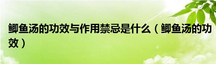 鯽魚(yú)湯的功效與作用禁忌是什么（鯽魚(yú)湯的功效）