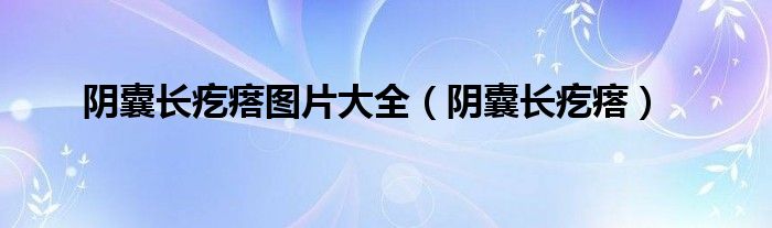 陰囊長(zhǎng)疙瘩圖片大全（陰囊長(zhǎng)疙瘩）