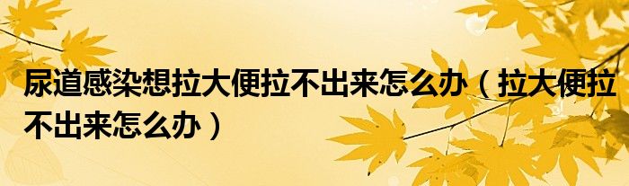 尿道感染想拉大便拉不出來(lái)怎么辦（拉大便拉不出來(lái)怎么辦）