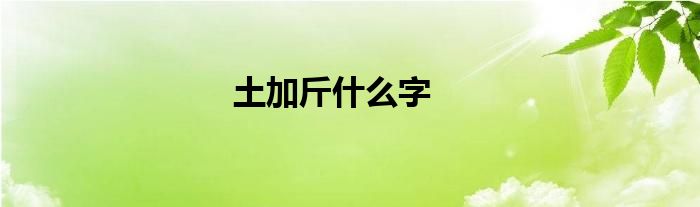 土加斤什么字