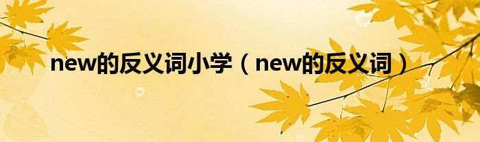 new的反義詞小學(xué)（new的反義詞）