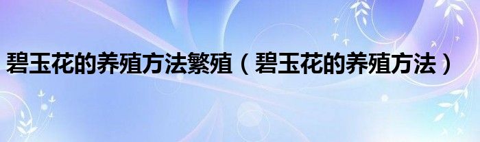 碧玉花的養(yǎng)殖方法繁殖（碧玉花的養(yǎng)殖方法）