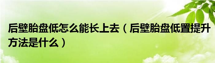 后壁胎盤低怎么能長上去（后壁胎盤低置提升方法是什么）