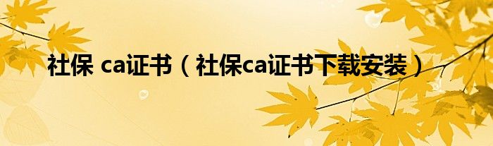 社保 ca證書（社保ca證書下載安裝）