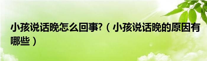 小孩說(shuō)話晚怎么回事?（小孩說(shuō)話晚的原因有哪些）