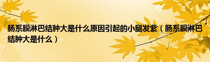 腸系膜淋巴結(jié)腫大是什么原因引起的小腿發(fā)紫（腸系膜淋巴結(jié)腫大是什么）