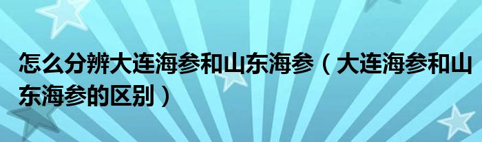 怎么分辨大連海參和山東海參（大連海參和山東海參的區(qū)別）