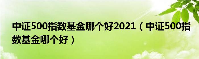 中證500指數(shù)基金哪個好2021（中證500指數(shù)基金哪個好）