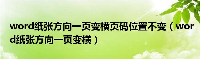 word紙張方向一頁變橫頁碼位置不變（word紙張方向一頁變橫）