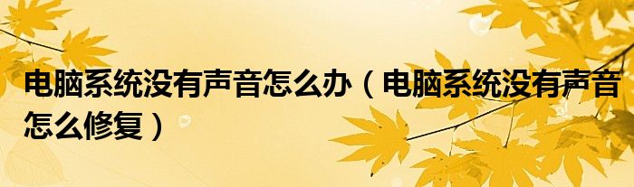 電腦系統(tǒng)沒有聲音怎么辦（電腦系統(tǒng)沒有聲音怎么修復(fù)）