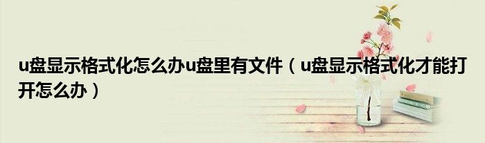 u盤顯示格式化怎么辦u盤里有文件（u盤顯示格式化才能打開怎么辦）