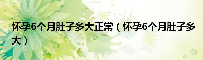 懷孕6個(gè)月肚子多大正常（懷孕6個(gè)月肚子多大）