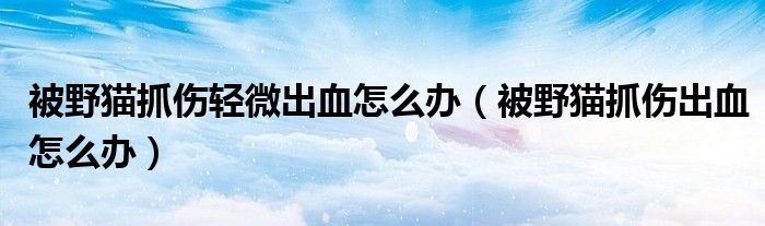 被野貓抓傷輕微出血怎么辦（被野貓抓傷出血怎么辦）