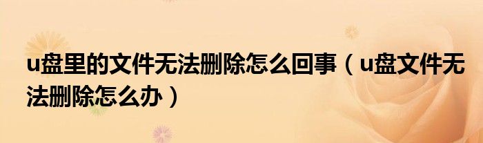 u盤里的文件無法刪除怎么回事（u盤文件無法刪除怎么辦）