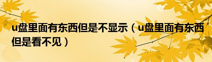 u盤里面有東西但是不顯示（u盤里面有東西但是看不見）