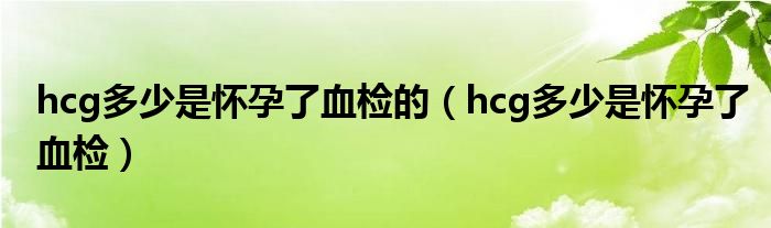 hcg多少是懷孕了血檢的（hcg多少是懷孕了血檢）