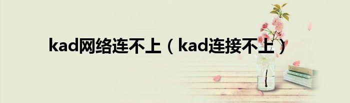 kad網(wǎng)絡(luò)連不上（kad連接不上）