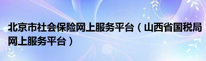 北京市社會保險網(wǎng)上服務(wù)平臺（山西省國稅局網(wǎng)上服務(wù)平臺）