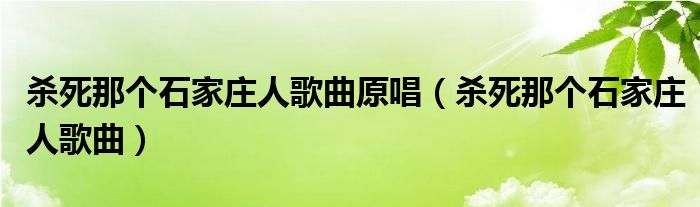 殺死那個石家莊人歌曲原唱（殺死那個石家莊人歌曲）