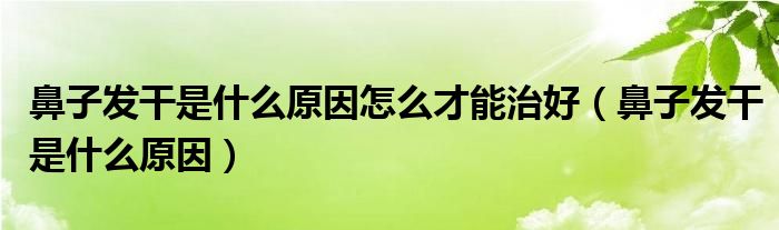 鼻子發(fā)干是什么原因怎么才能治好（鼻子發(fā)干是什么原因）