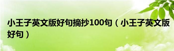 小王子英文版好句摘抄100句（小王子英文版好句）