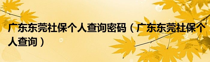 廣東東莞社保個人查詢密碼（廣東東莞社保個人查詢）