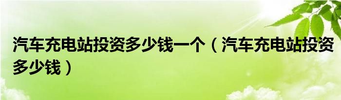 汽車充電站投資多少錢一個（汽車充電站投資多少錢）