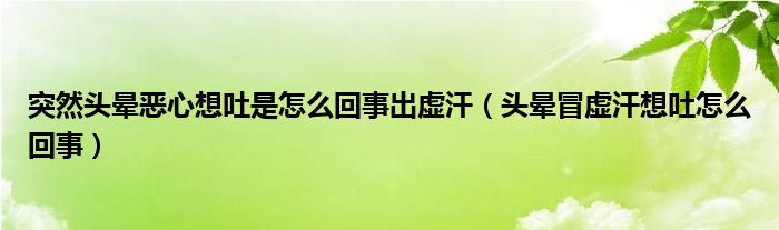 突然頭暈惡心想吐是怎么回事出虛汗（頭暈冒虛汗想吐怎么回事）